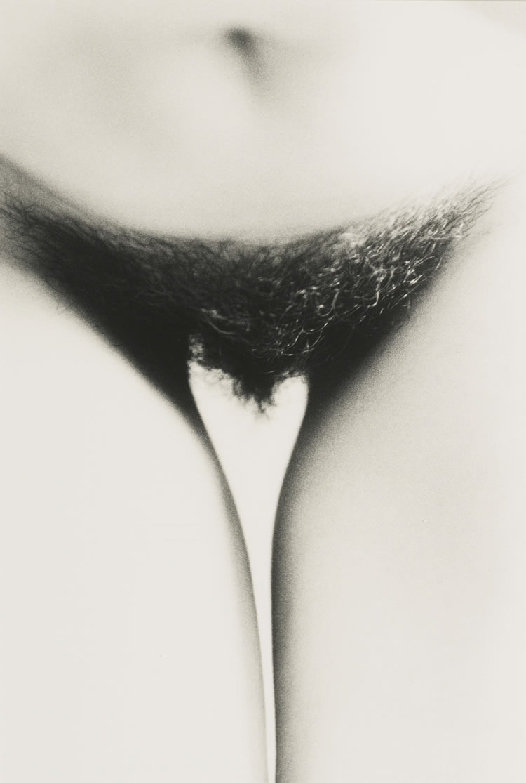 ralph gibson pubis